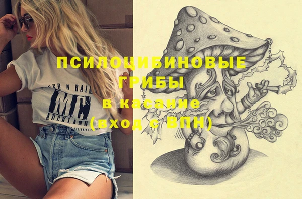 прущие крисы Армянск