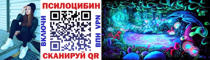 Псилоцибиновые грибы мицелий  blacksprut ссылки  Боровичи  закладки 
